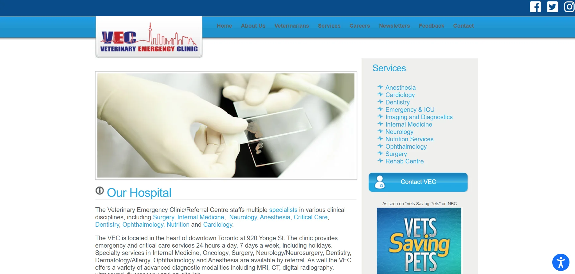 Emergency Veterinary Clinic Home page before redesign