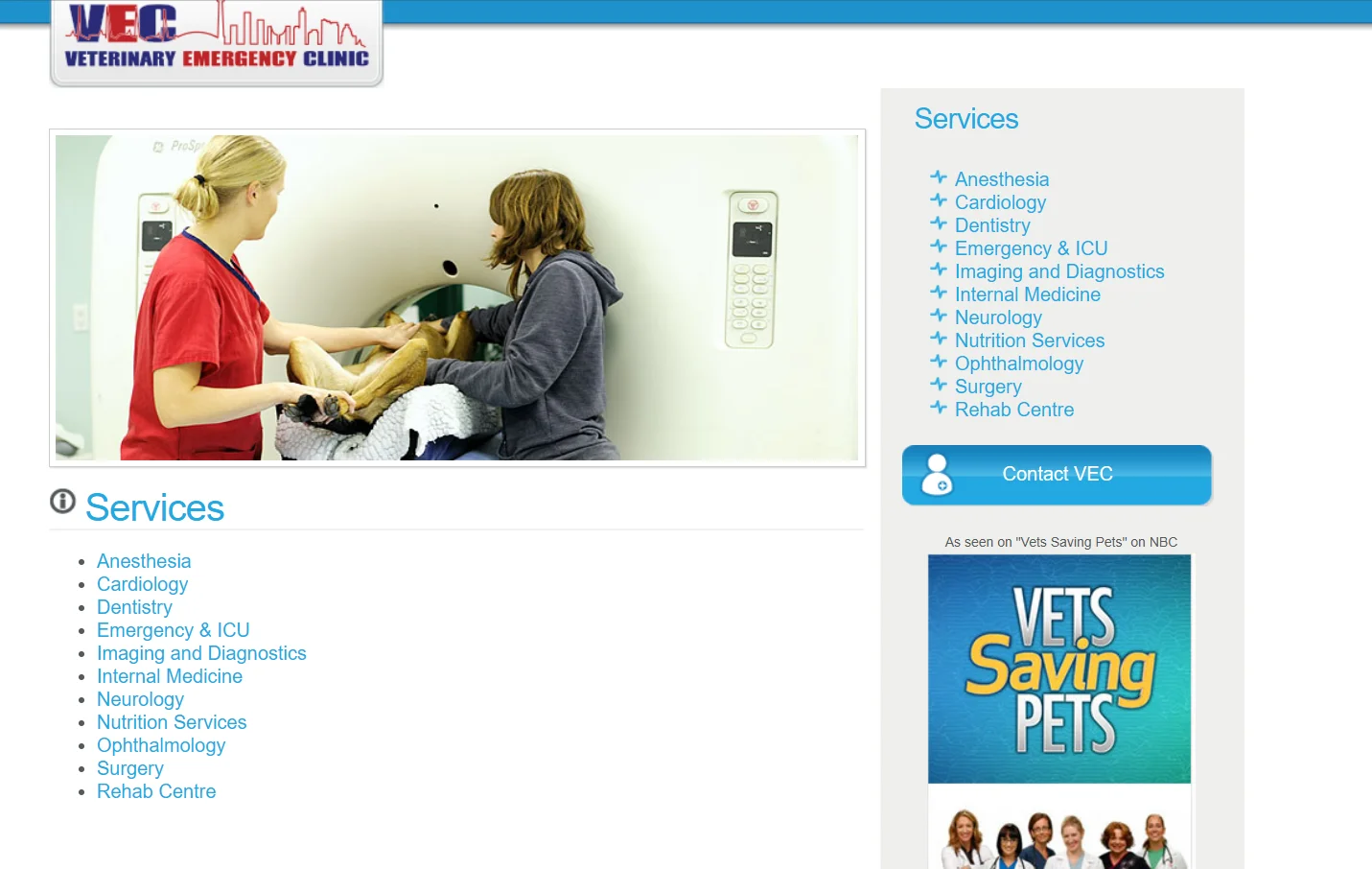 Emergency Veterinary Clinic Services page before redesign